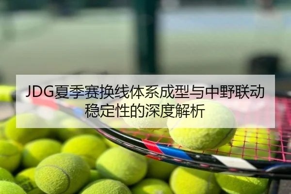 JDG夏季赛换线体系成型与中野联动稳定性的深度解析